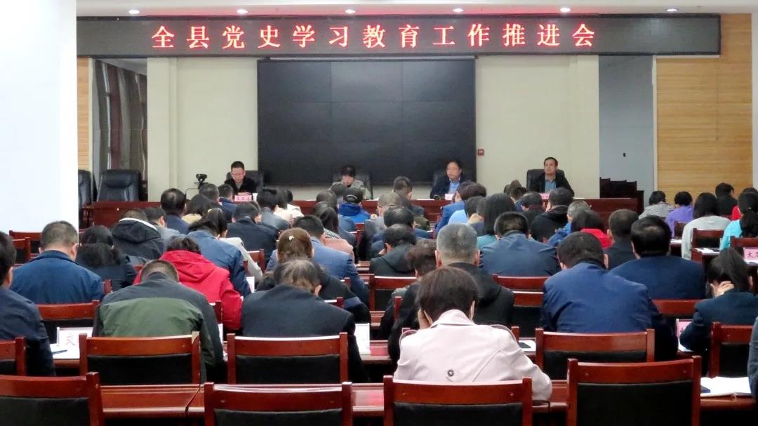 临洮县召开党史学习教育工作推进会